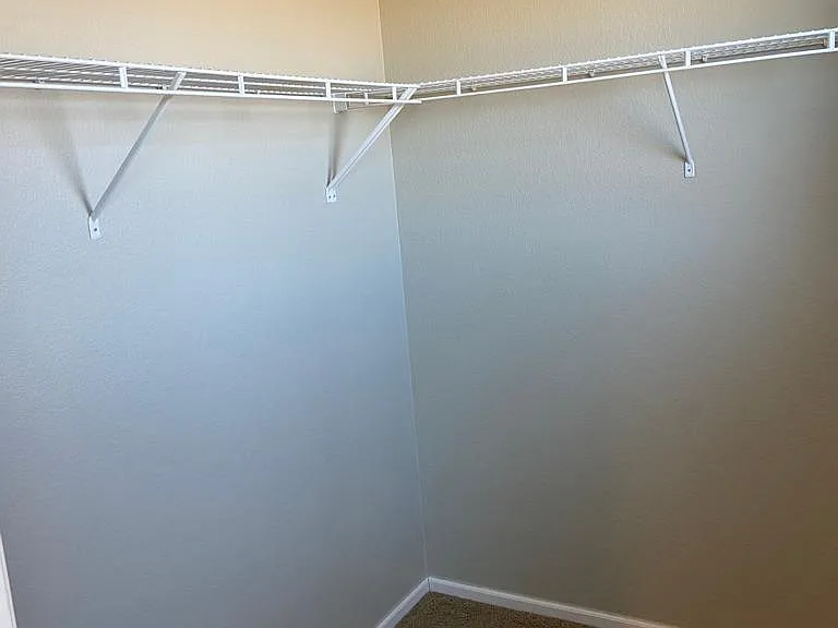 Master walk-in closet
