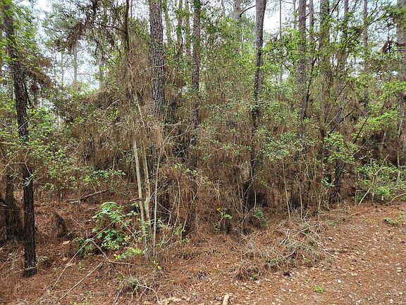 3rd image of LOT 25 N Council Dr