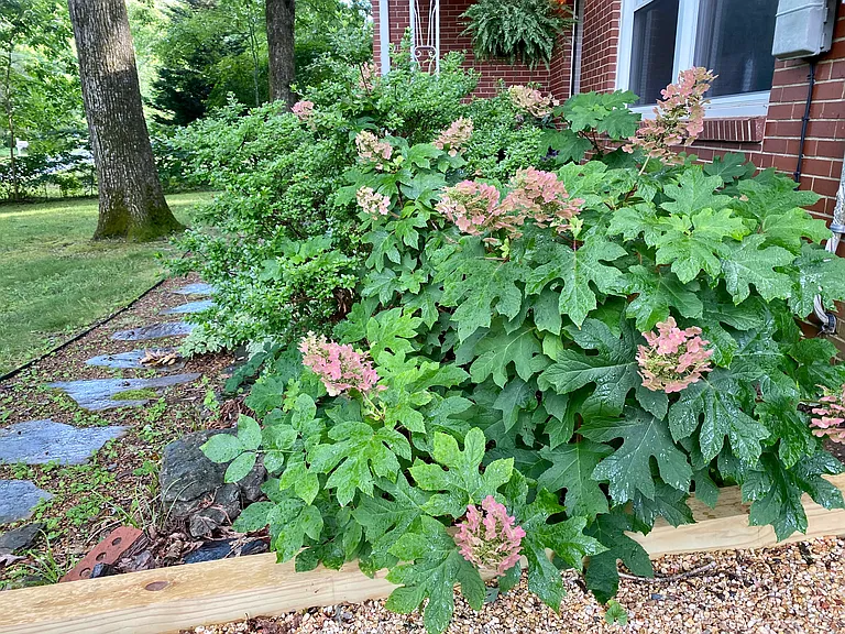 3616 Skyview Dr SE — Photo 2