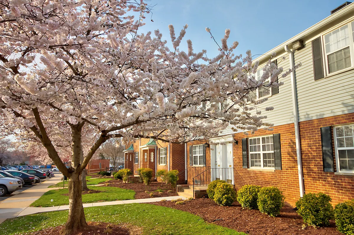 Kingsley Commons Townhouses — Photo 2