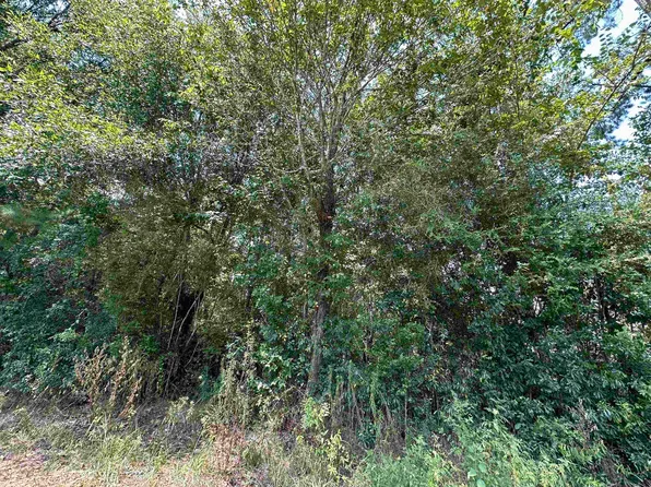 LOT 4 Oleander St, Lumberton, TX 77657