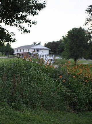 Golf Course View