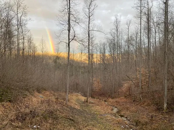 Tbd Caney Valley Rd, Bristol, VA 24202