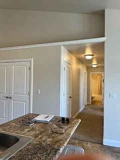 Summerfield- 918 S. 2275 W - 1 — Photo 3