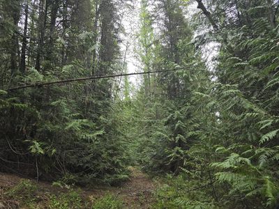 2 Deep Lake Boundary Rd, Colville, WA, 99114