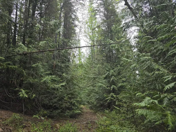 2 Deep Lake Boundary Rd, Colville, WA 99114