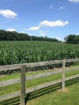 2nd image of 15254 Highway Jj