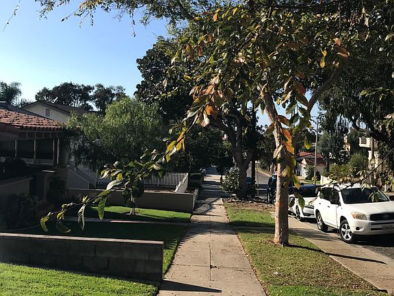 2nd image of 540 Avenue B