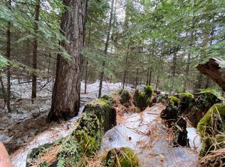 Nna Toad Rd, Priest River, ID 83856