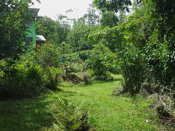 Walkway towards house