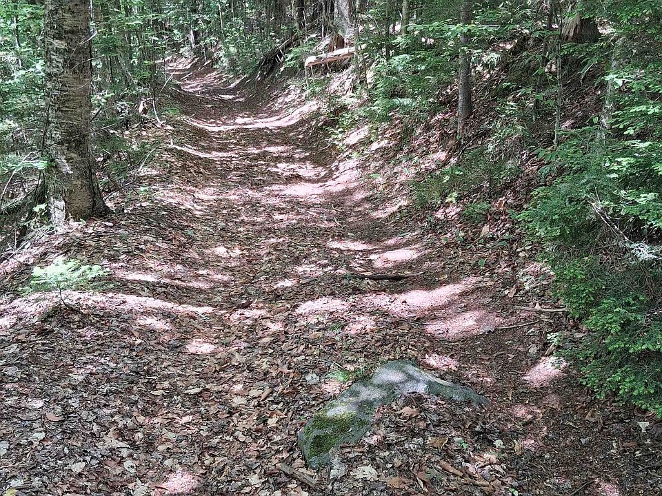 1st image of Lot 15 +37 acre Spruce Lane Lot 15