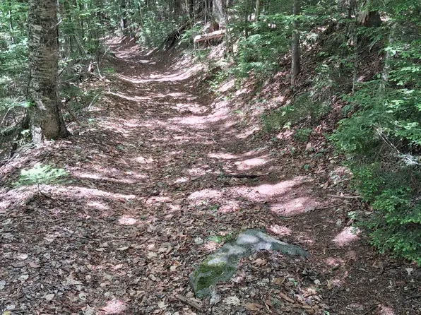 Lot 15 +37 acre Spruce Lane Lot 15, Eden, VT 05652