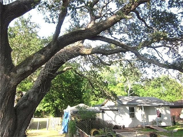 May 17 2011