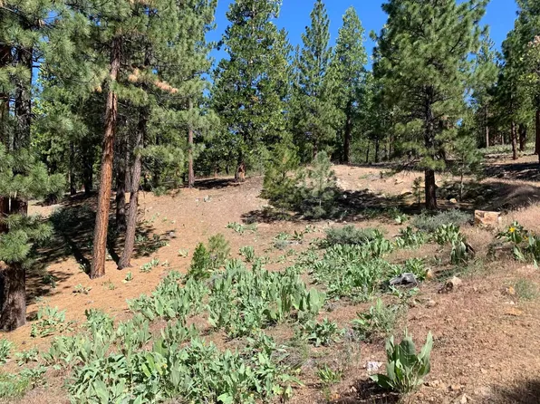 224 Peppergrass Ln, Portola, CA 96122