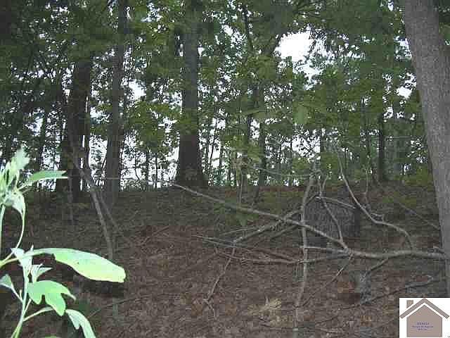 1st image of LOT 21 Champion Hills Rd