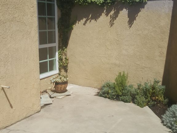 back patio yard area