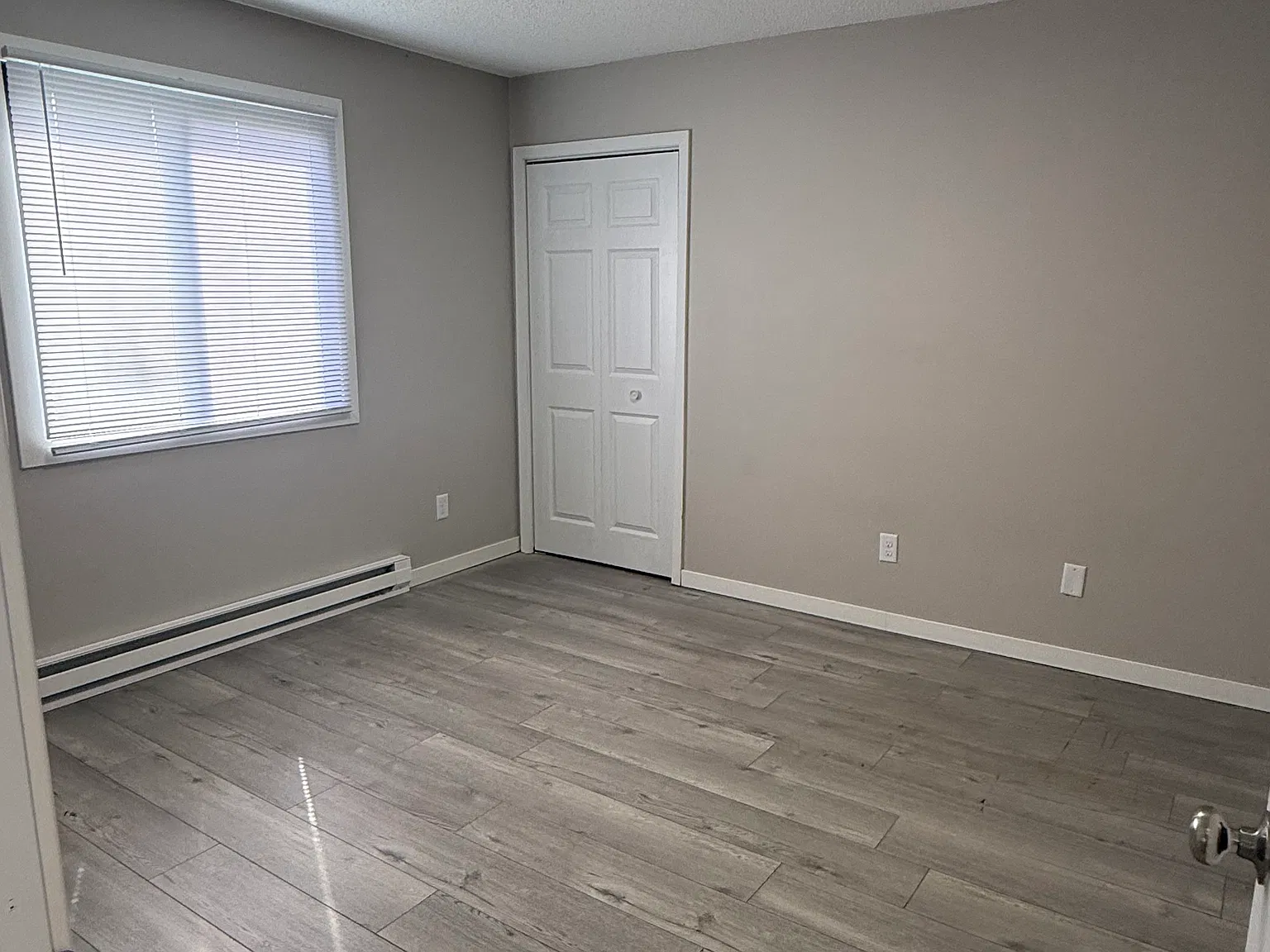 2 bed, 1.0 bath, $1,150 — Photo 4