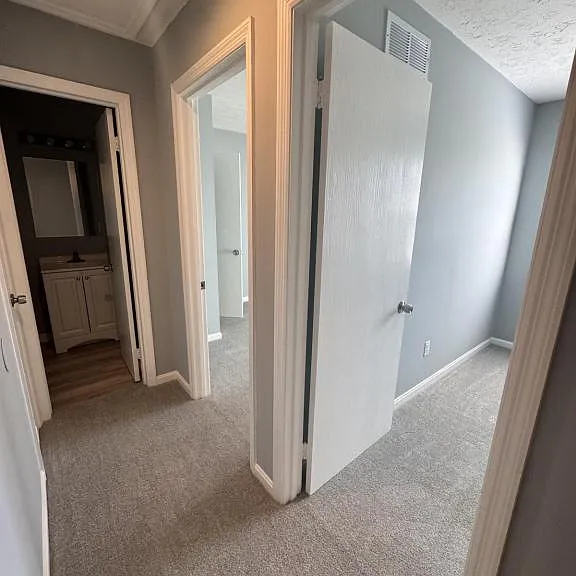 52 Apple Ln — Photo 9