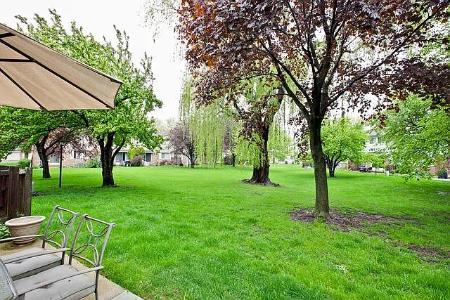 Outside Backyard