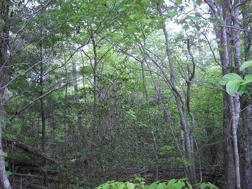 2nd image of 467 Beachwood Dr
