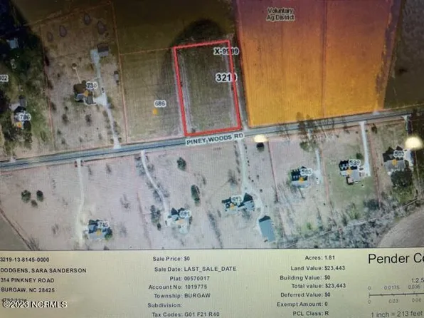 Tr 2 Piney Woods Road, Burgaw, NC 28425