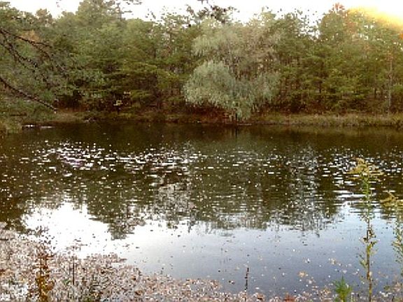 Spring fed pond