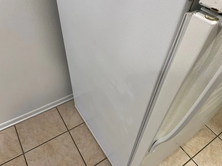 420 Ellwood Beach Dr — Photo 16