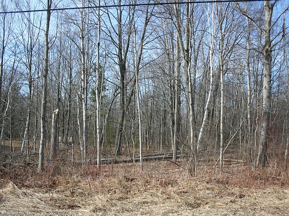 4th image of W Birch Ln