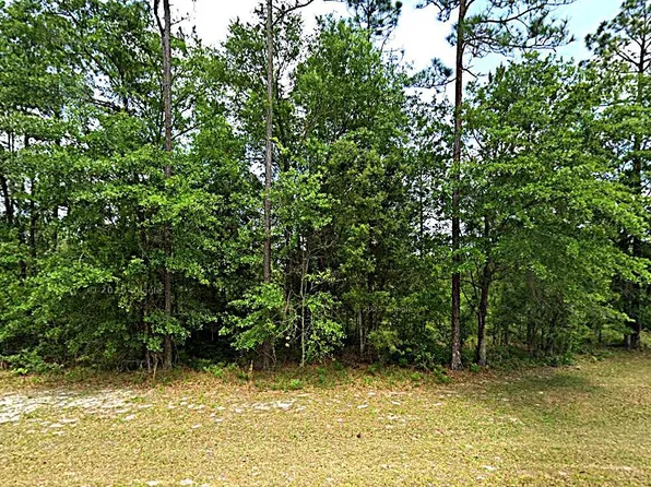 13321 SHORT Court, Bryceville, FL 32009