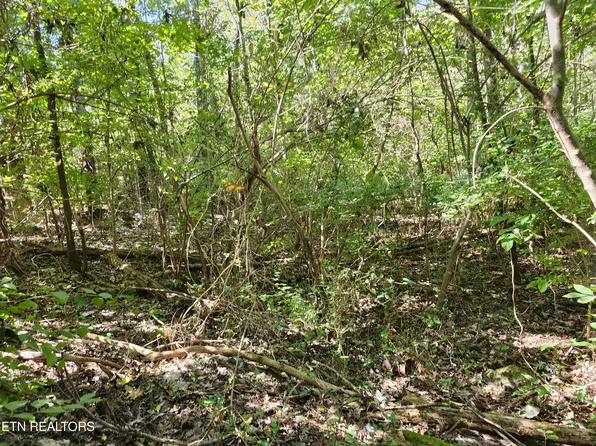 LOT 7 Sunset Dr, Talbott, TN 37877