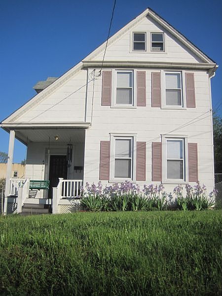 Irises in the Garden