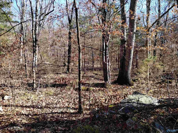 Bettinger Mountain Rd, Union Grove, AL 35175