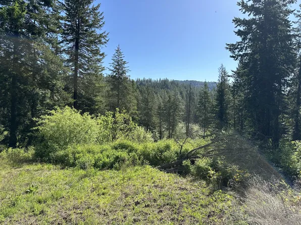 Gennett Rd, Springdale, WA 99173