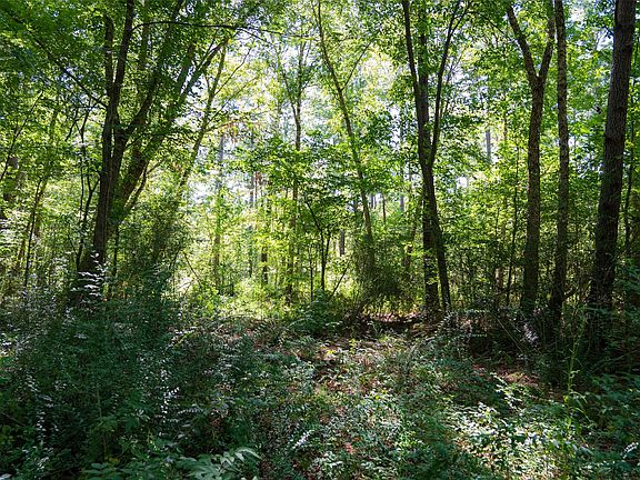 5th image of 0 County Road 1310