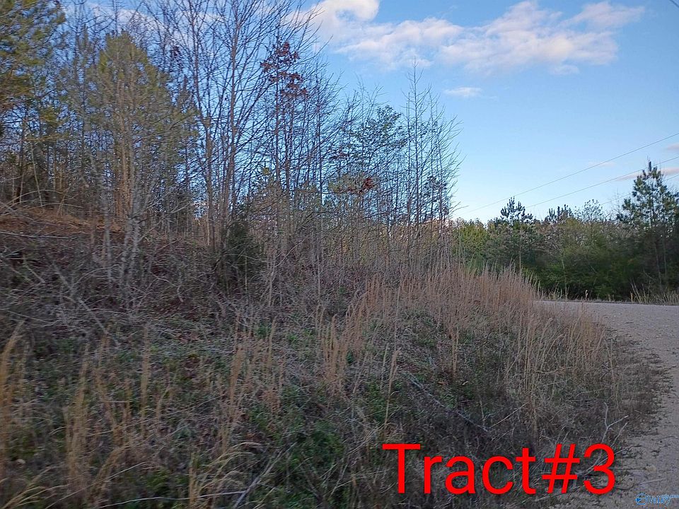 2nd image of TRACT 3 County Road 176