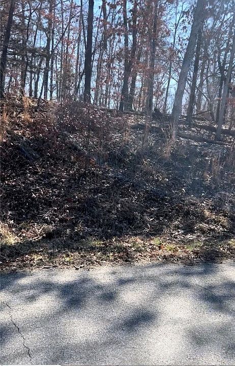 1st image of L7-B5 S Cheshnut Dr #7