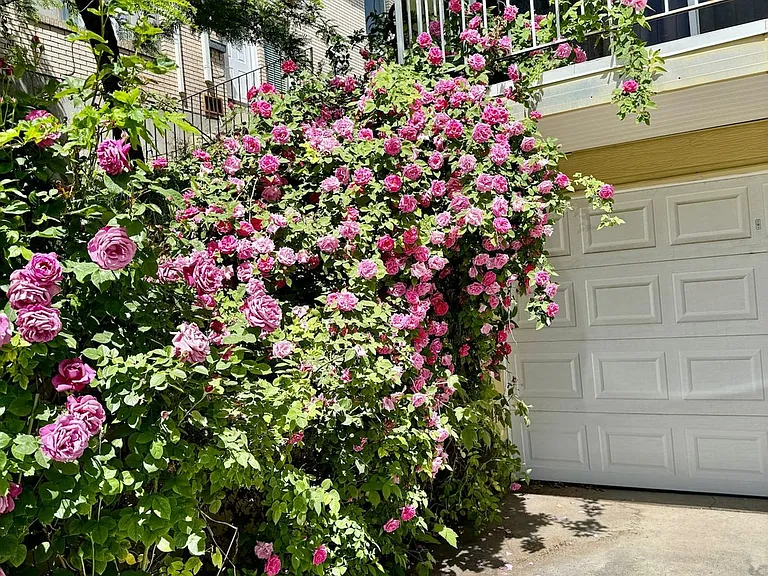 Neighborhood