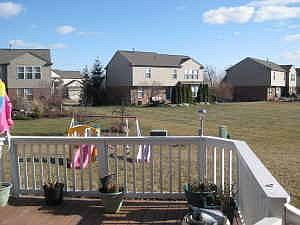 Back yard