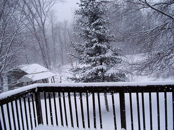 View from deck , small barn