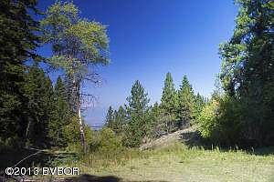 Hamilton Heights Ranch