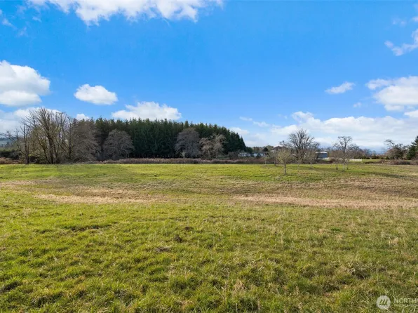 0 X Lilly Wheaton Road, Raymond, WA 98577