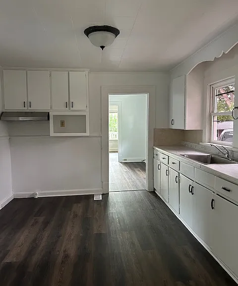 1011 Nathan Hunt Dr — Photo 5