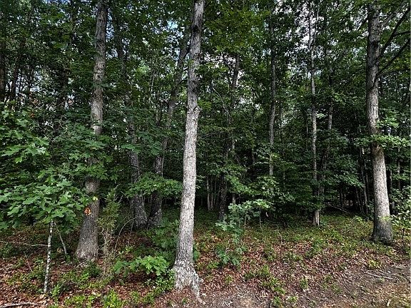 2nd image of 148 Pinehurst Dr Lot 148