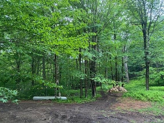 5th image of 55 Voss Rd