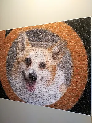 Rented by R New York | media 21