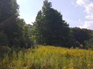 45 1/2 Road, Fife Lake, MI 49633