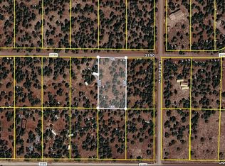 30 County Road 3190, Vernon, AZ 85940