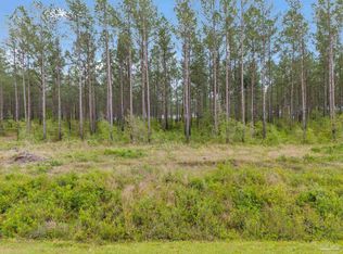 LOT 5 Mineral Springs Rd, Jay, FL 32565