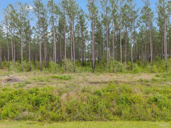 LOT 5 Mineral Springs Rd, Jay, FL 32565