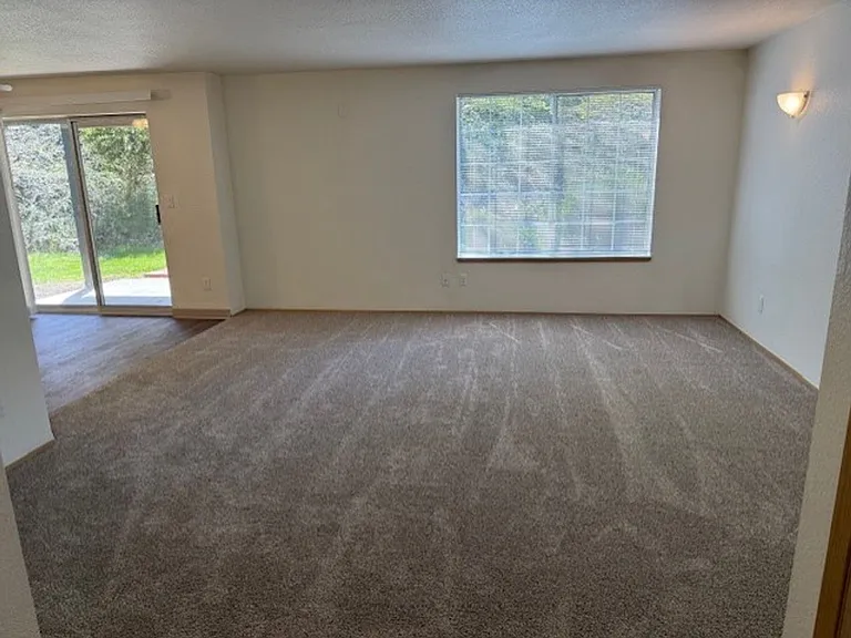 2511 Edenbower Blvd — Photo 24